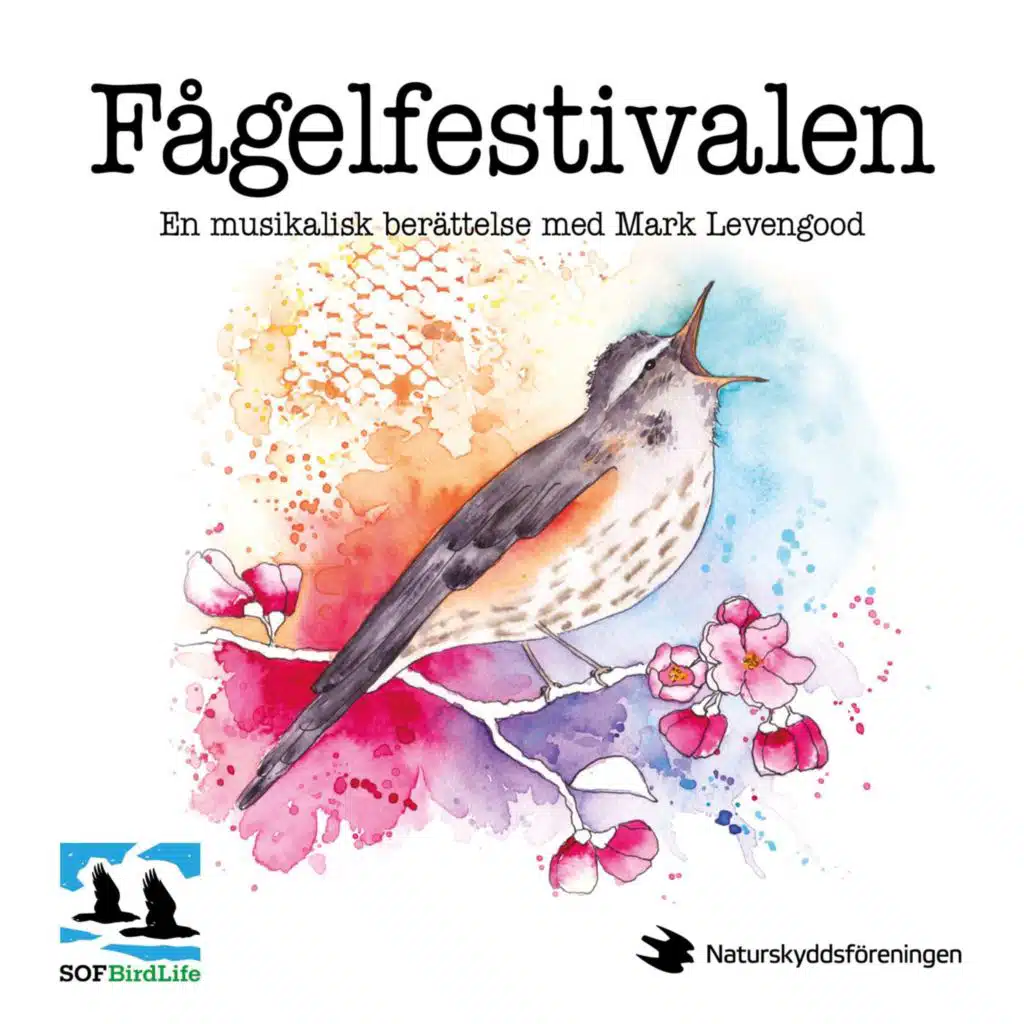 Fågelfestivalen (feat. Mark Levengood)