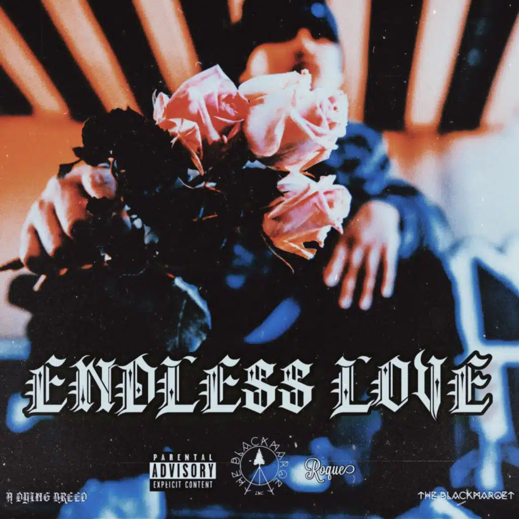 ENDLESS LOVE