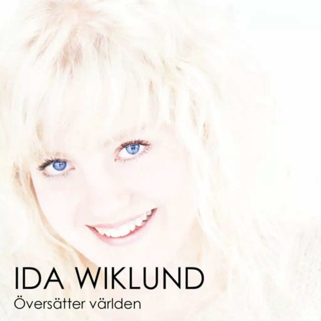 Vi som översätter världen
