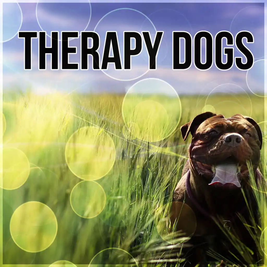 Therapy Dogs – Calm Down Your Animal Companion, Music Therapy for Dogs, Sleep Aids, Pet Relaxation, Stress Relief