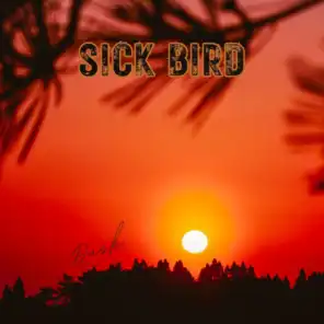 Sick Bird