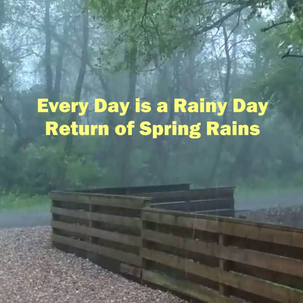 Every Day Is a Rainy Day
