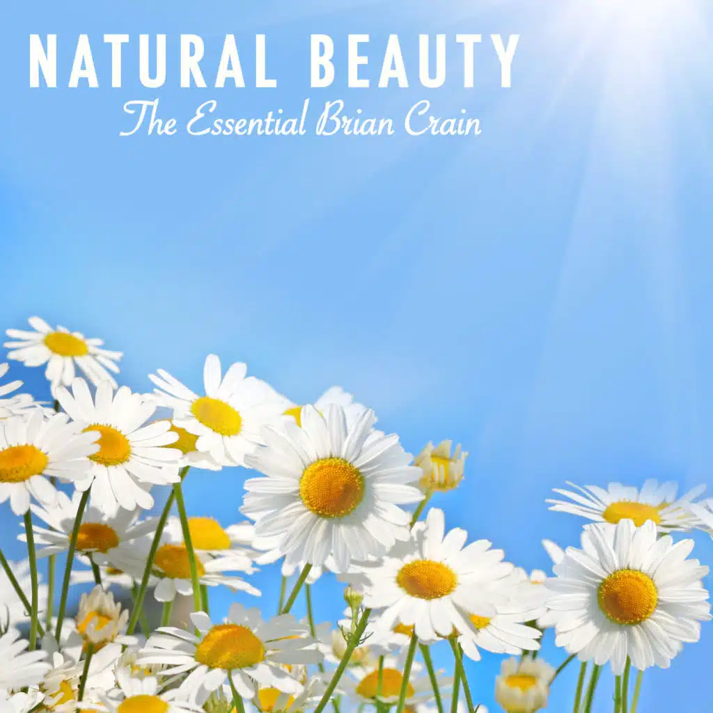 Natural Beauty - The Essential Brian Crain