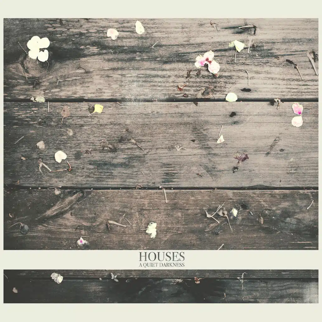 The Beauty Surrounds