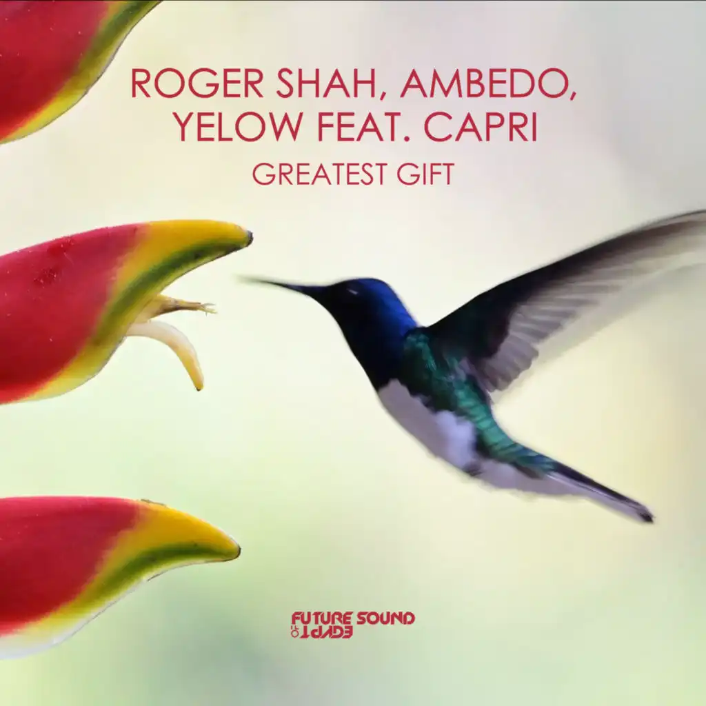 Roger Shah, Yelow, Ambedo & Capri