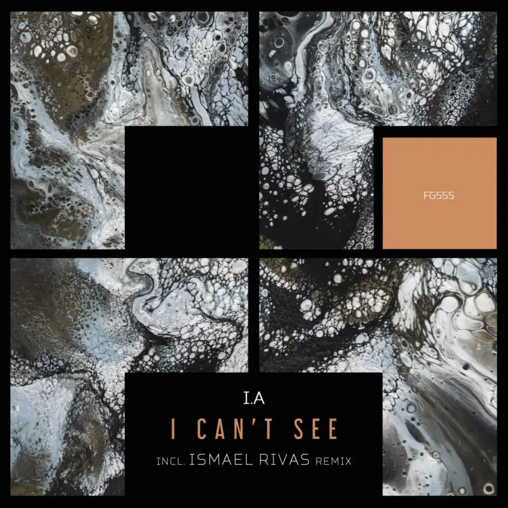 I Can't See (Ismael Rivas Remix)