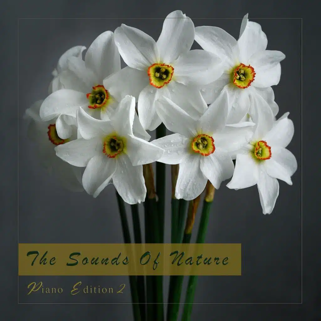 The Sounds of Nature (Piano Edition 2)