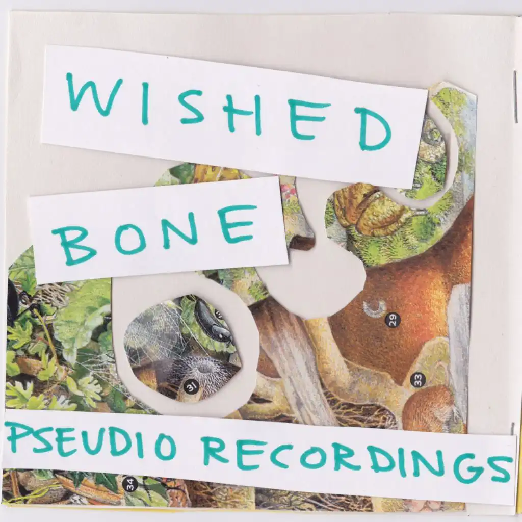 pseudio recordings