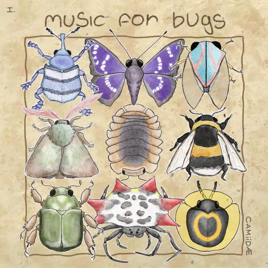 music for bugs