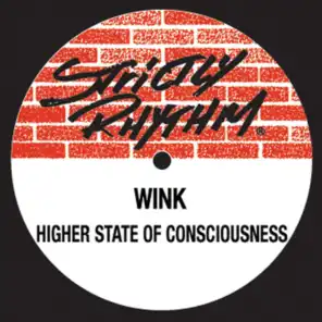 Higher State of Consciousness (The 611 Acid Groove Mix)