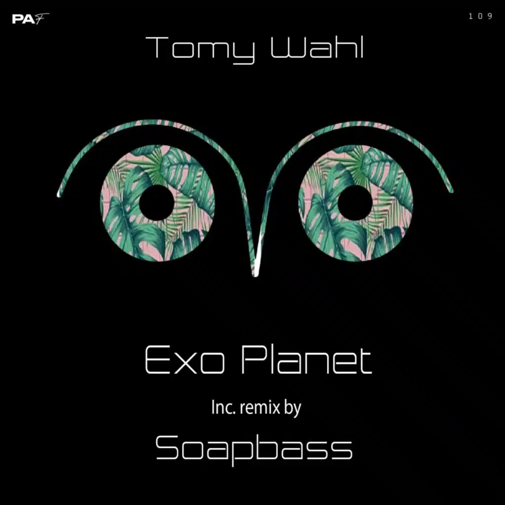 Soapbass & Tomy Wahl