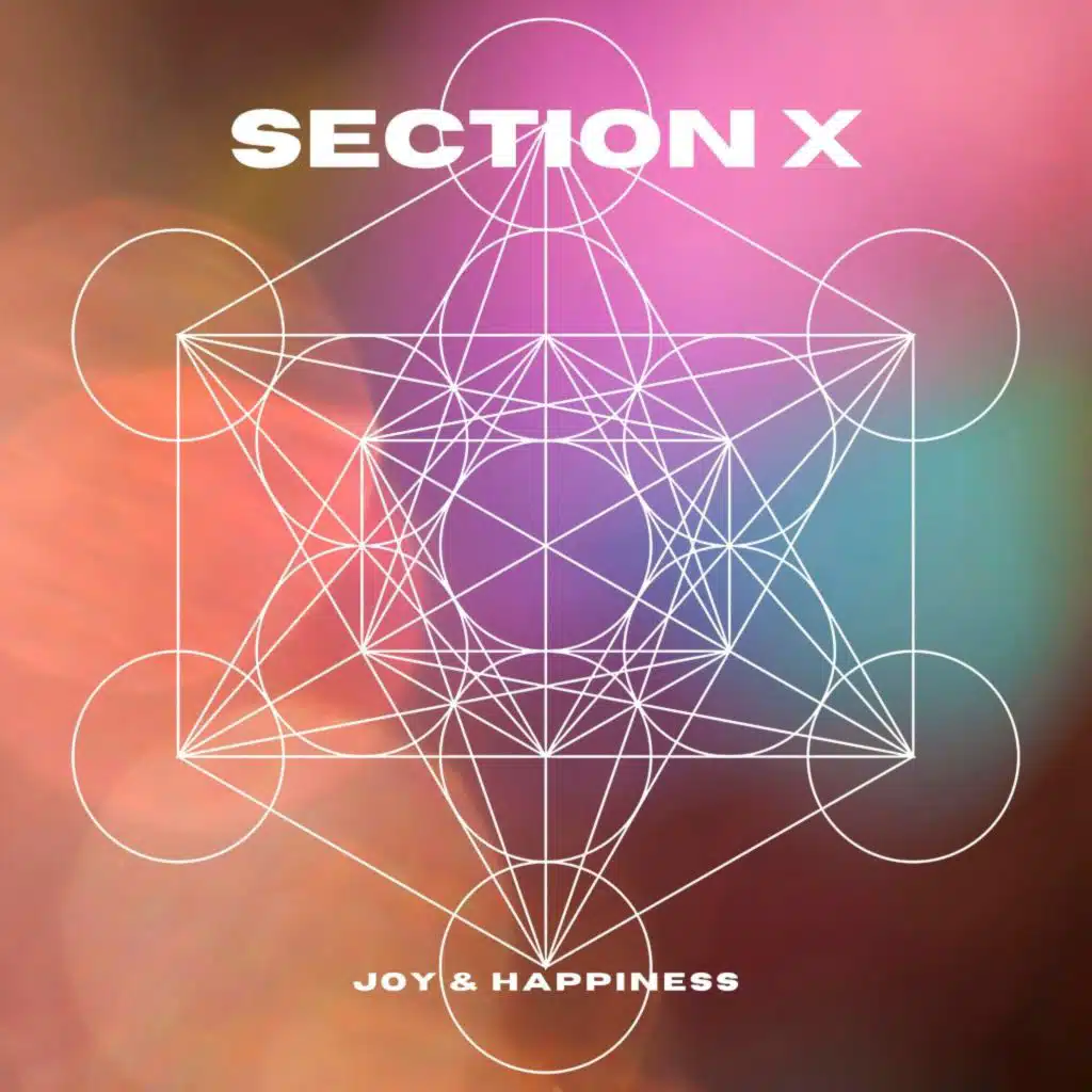 Section X