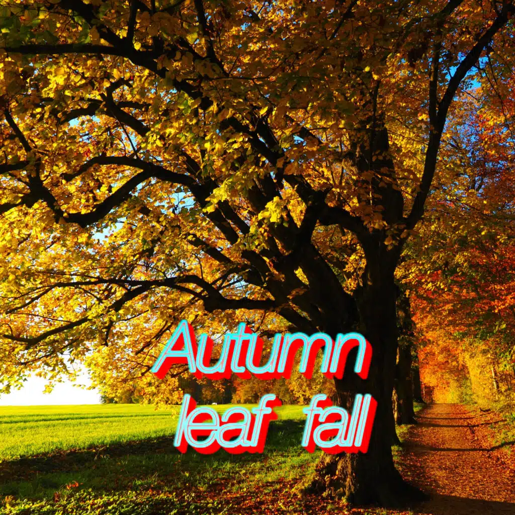 Autumn leaf fall