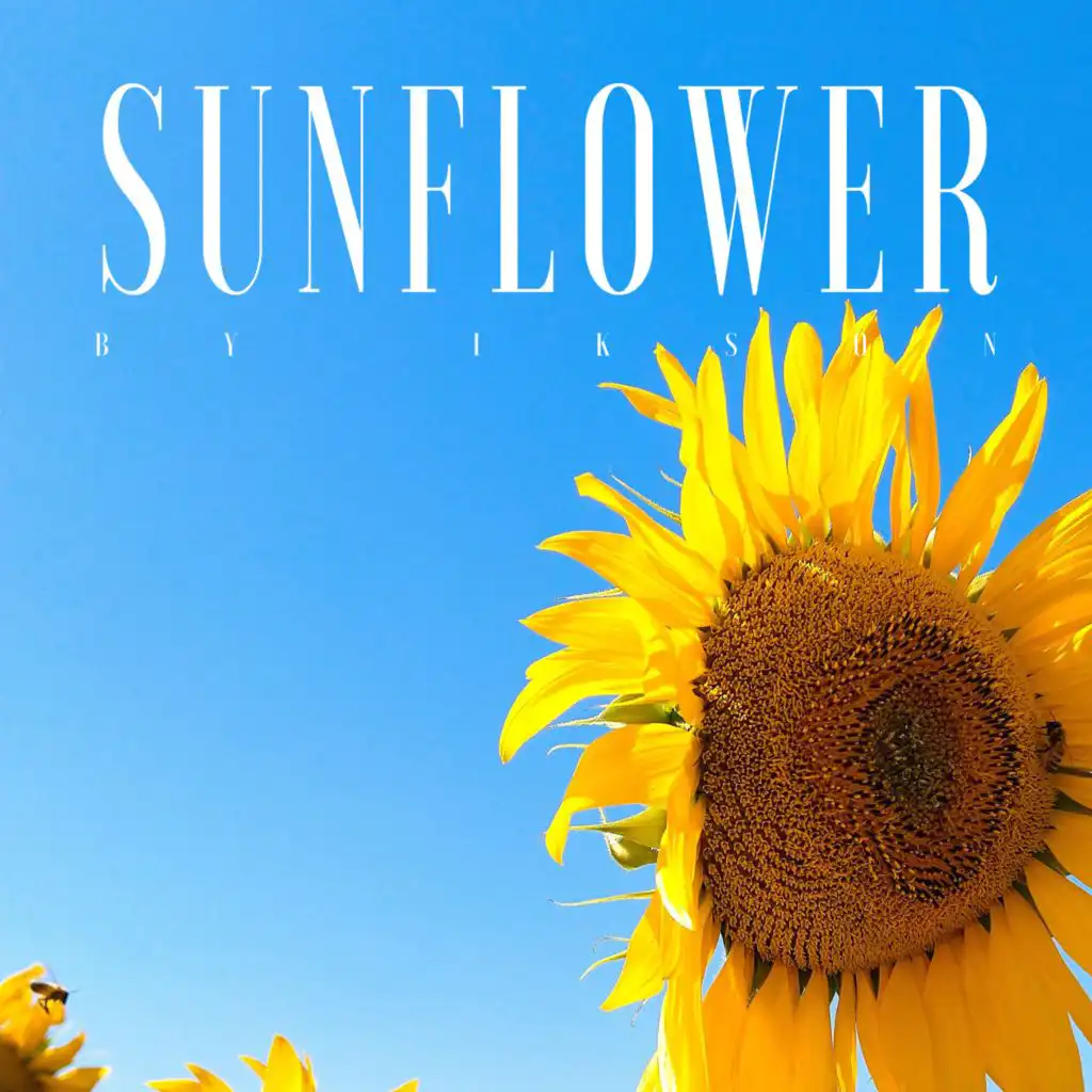Sunflower (8D)