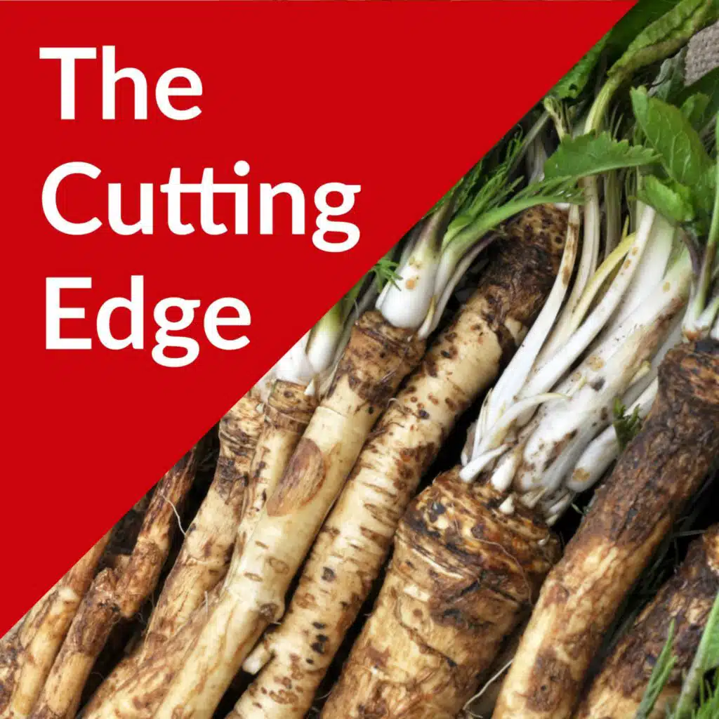 Episode #40: Silver Springs Foods