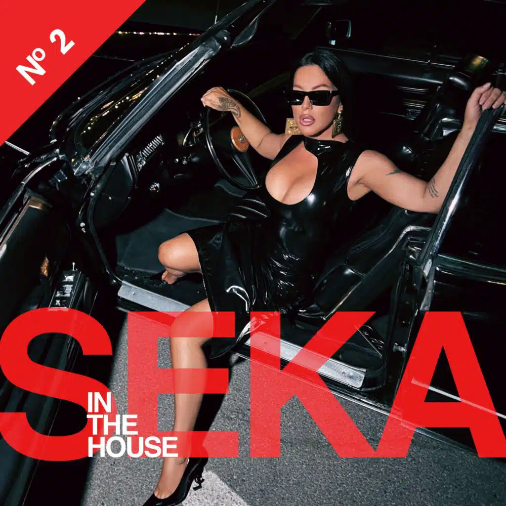 Boli stara ljubav (feat. Seka Aleksic)