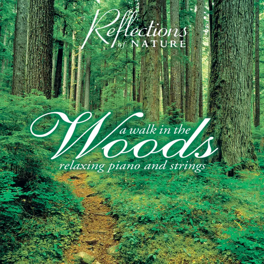 A Walk in the Woods: Relaxing Piano and Strings