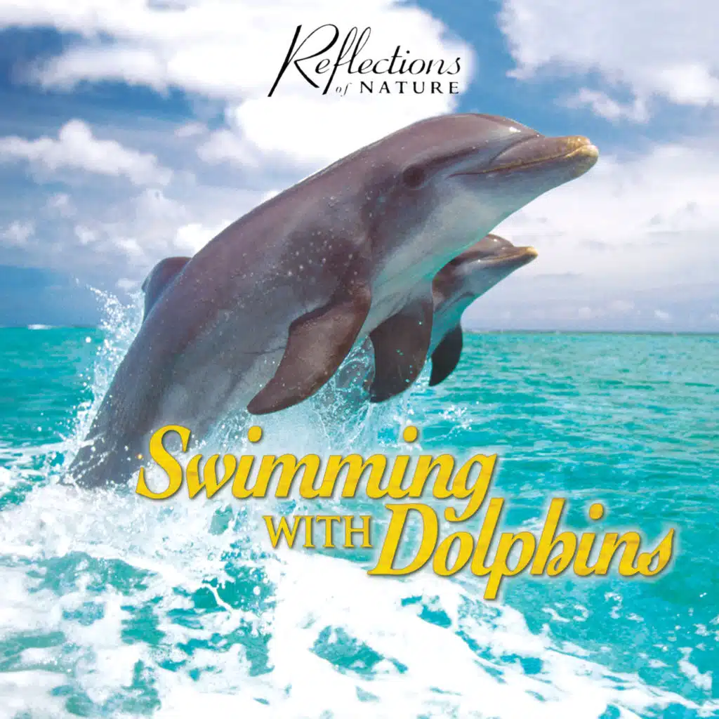 Swimming with Dolphins