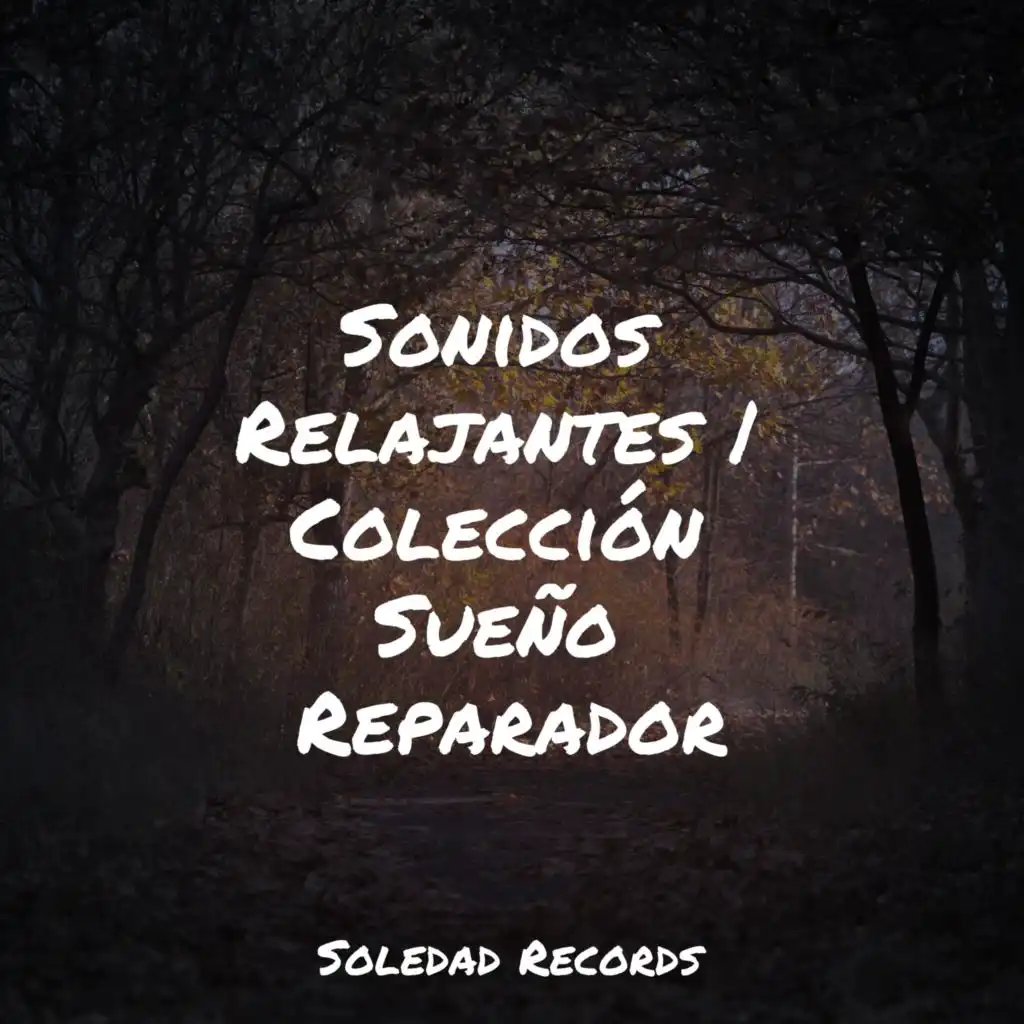 Sonido Eterno