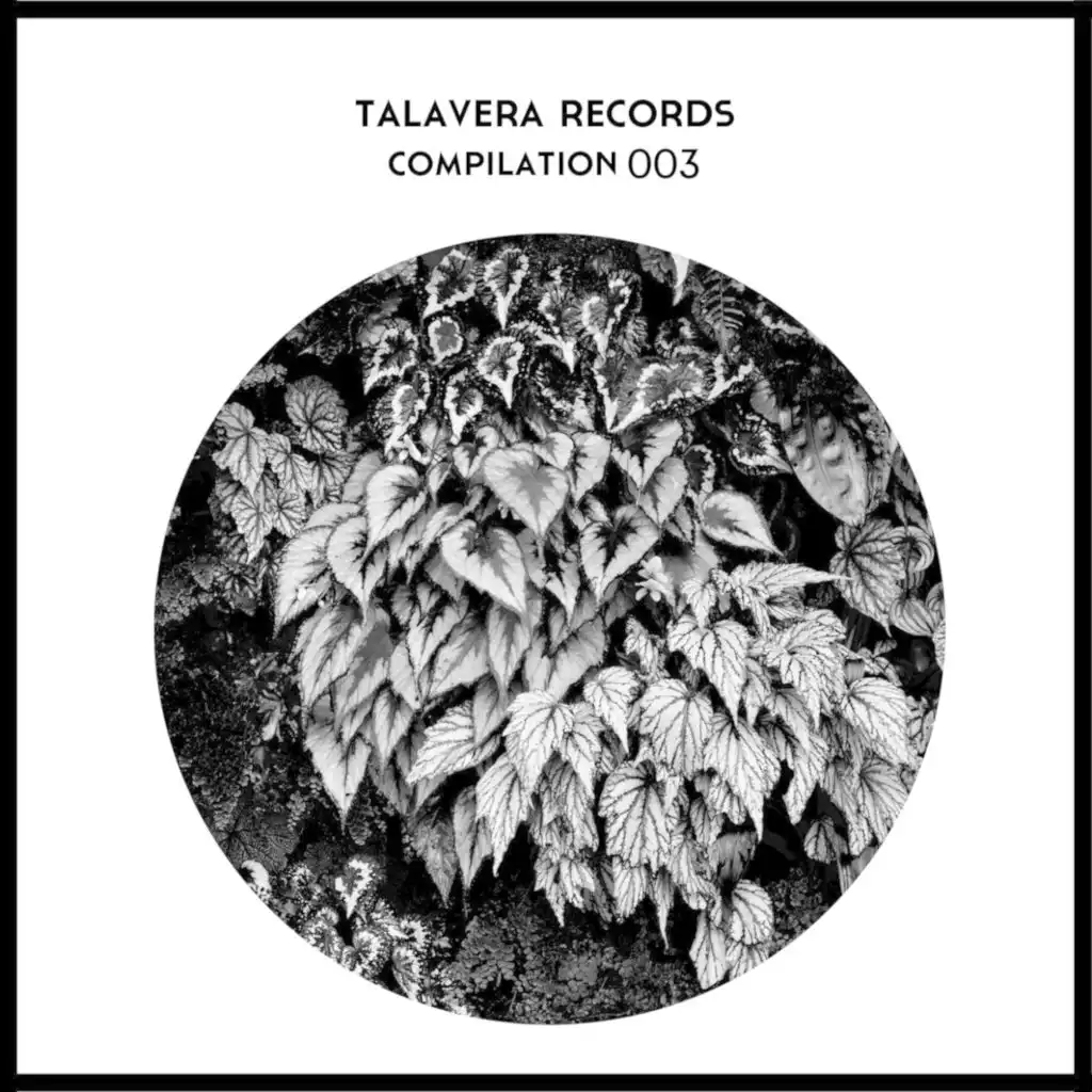 Talavera Records Compilation 003