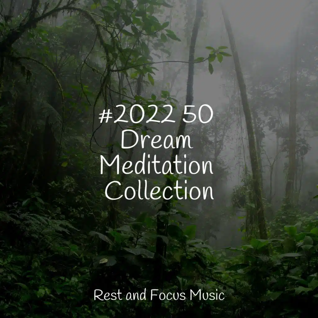 #2022 50 Dream Meditation Collection