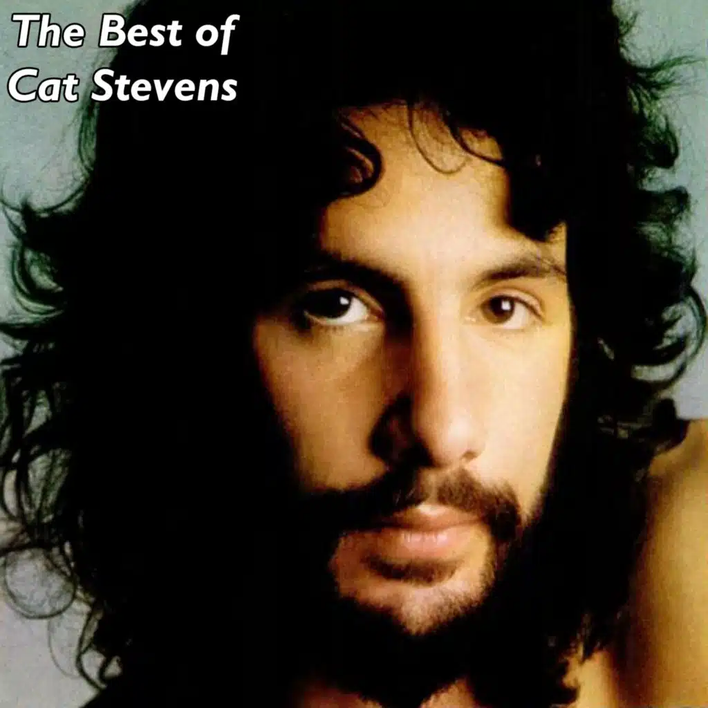 Tea For The Tillerman