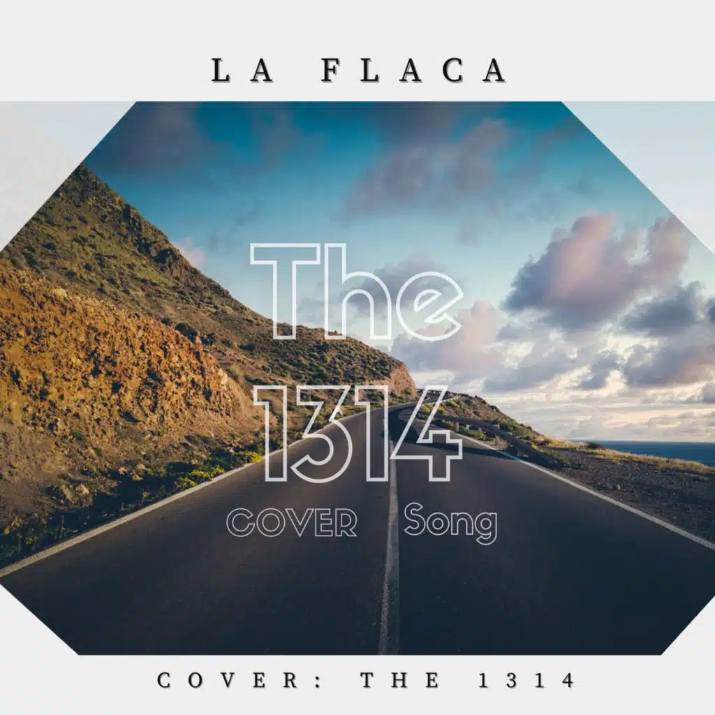 La flaca (Cover Version)
