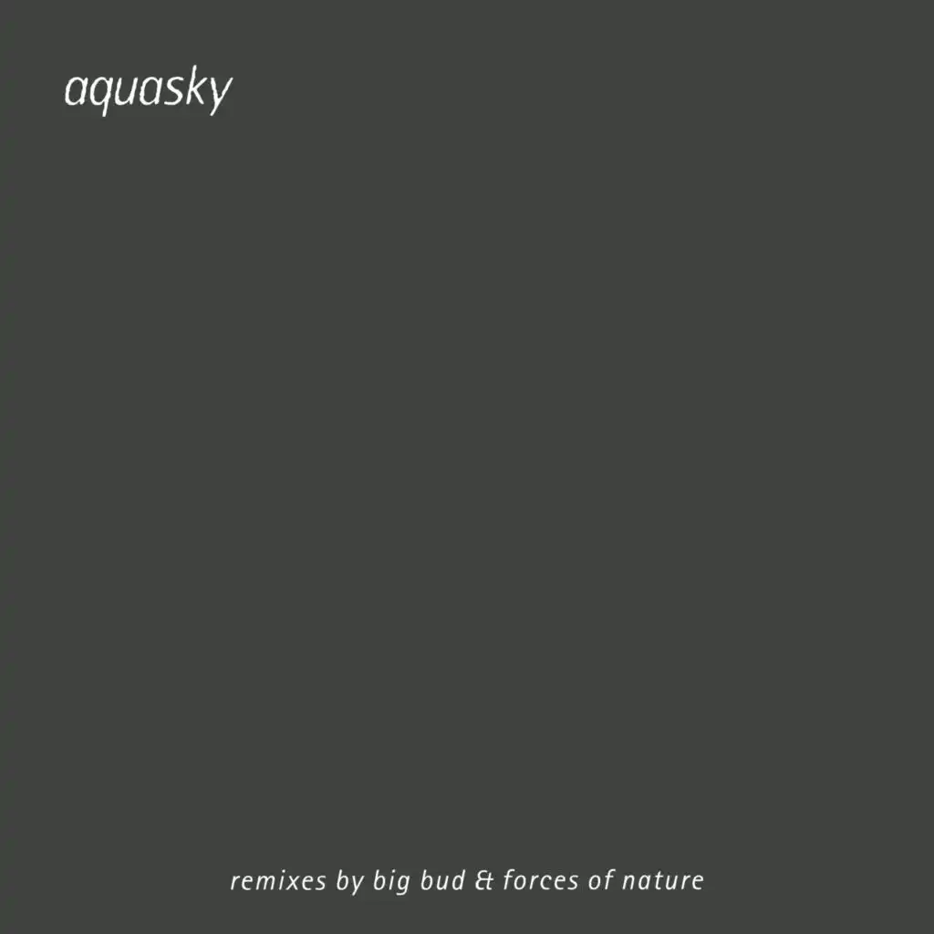 Tranquility (Big Bud Remix)