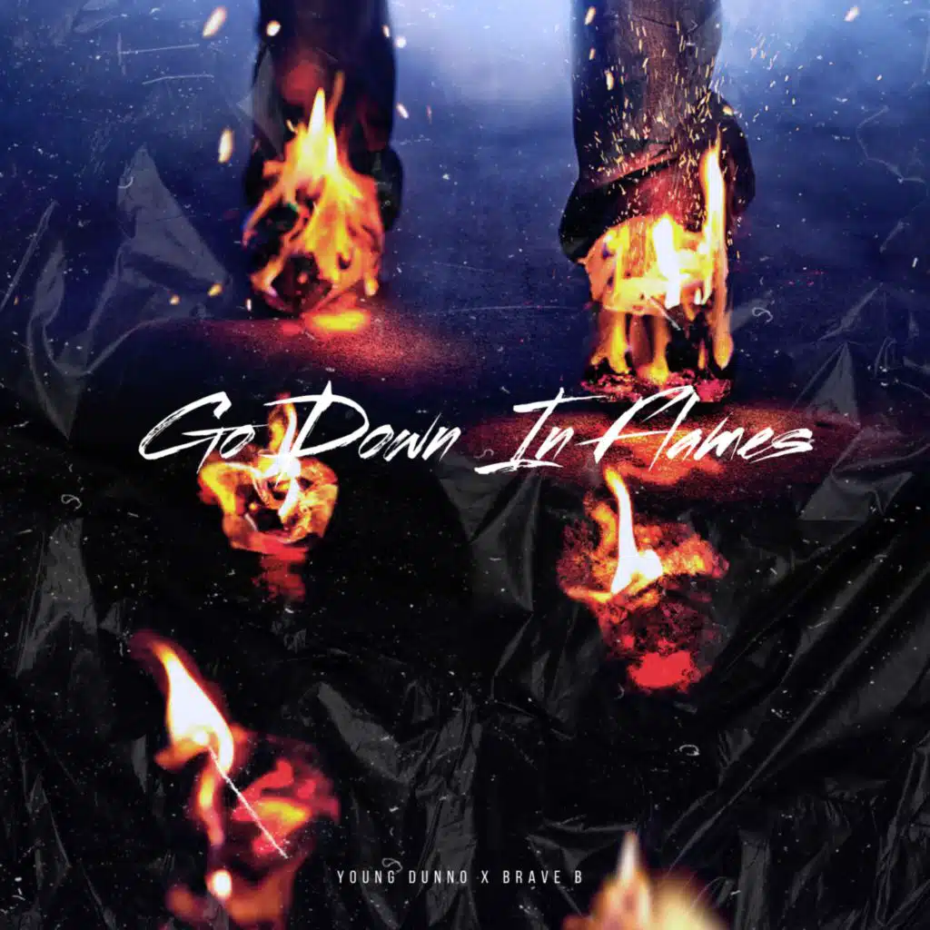 Go Down In Flames