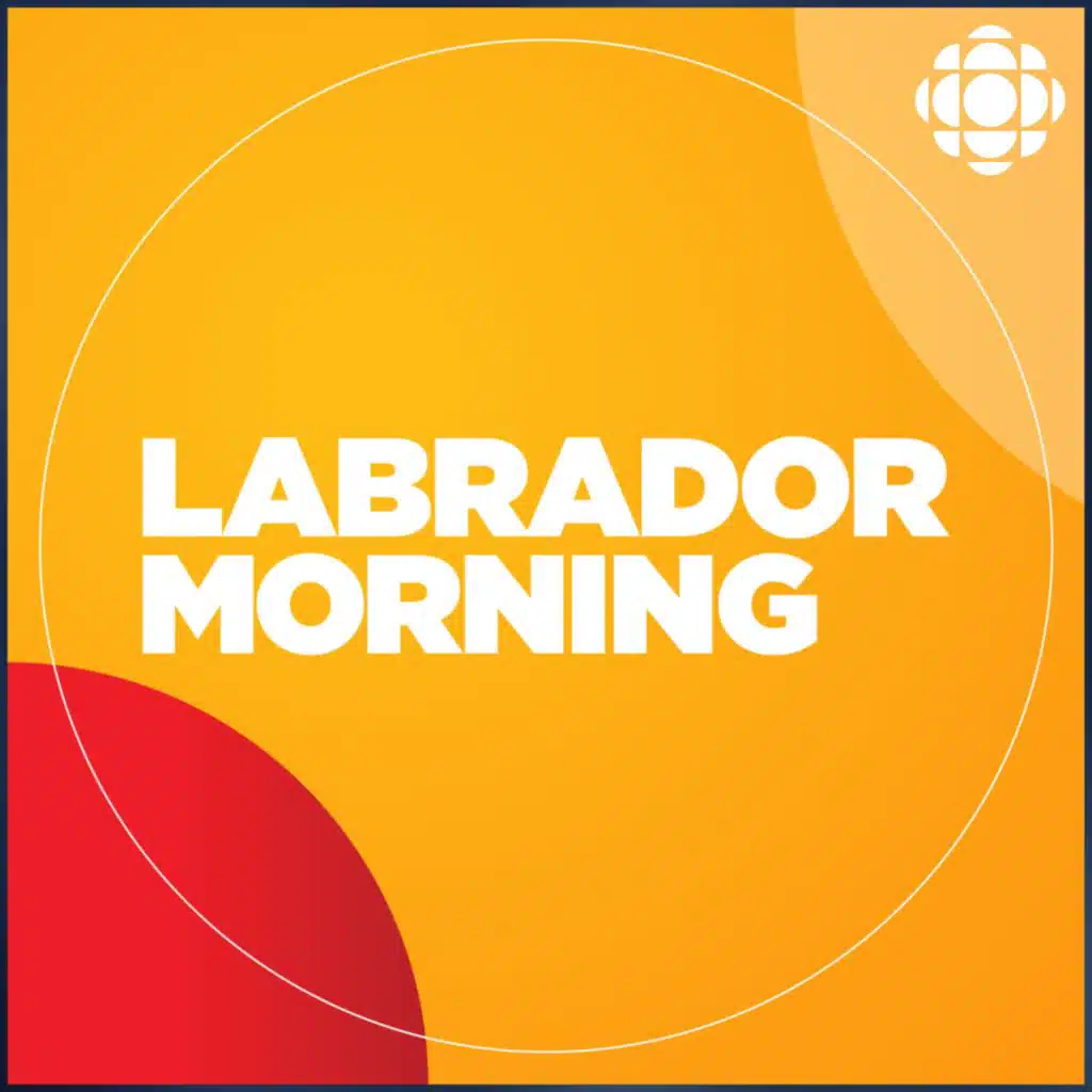 Churchill Falls resident back home after evacuating twice