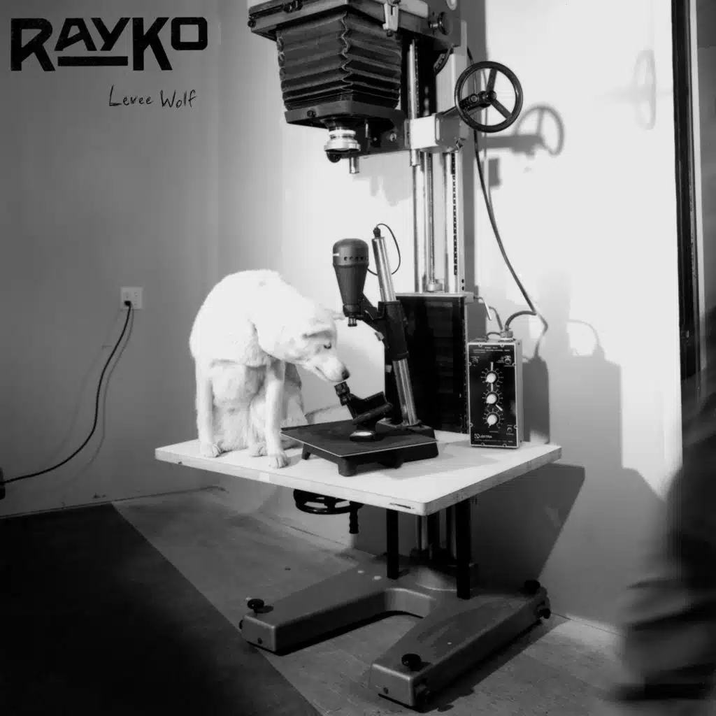 Rayko