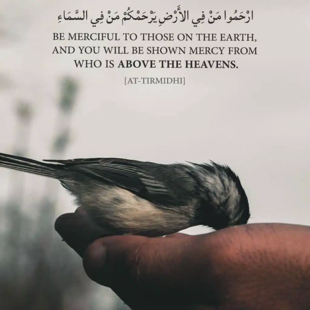 093-Ad-Dhuha-Quran Karim|سوره مبارکه الضحی-قرآن کریم با ترجمه فارسی