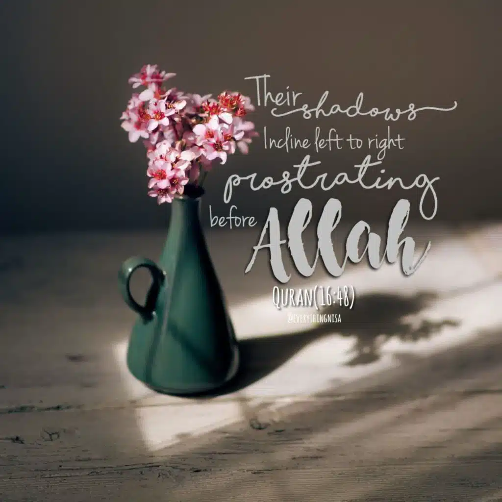 098-Al-Bayyina-Quran Karim|سوره مبارکه البینه-قرآن کریم با ترجمه فارسی