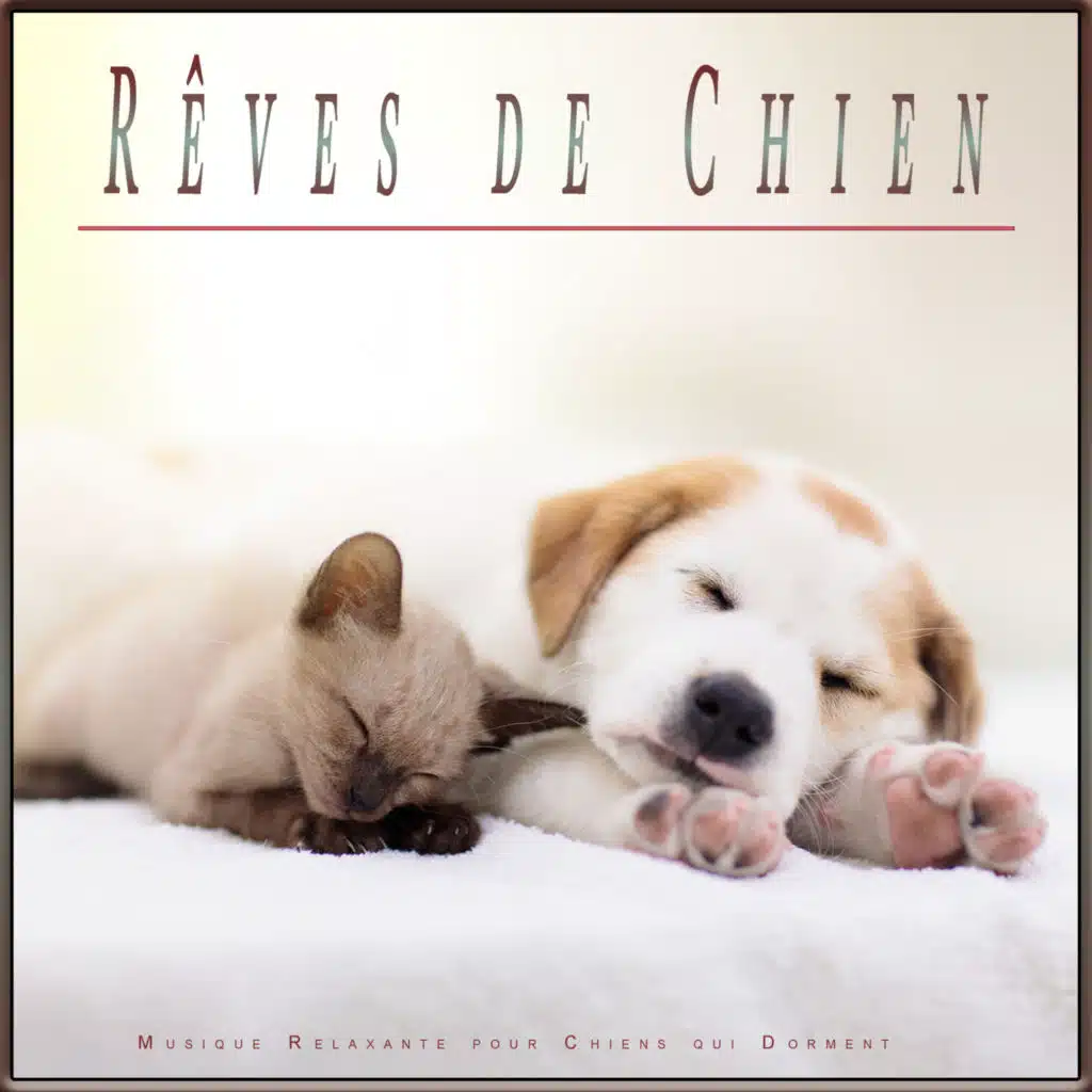 Musique Instrumentale pour Chiens