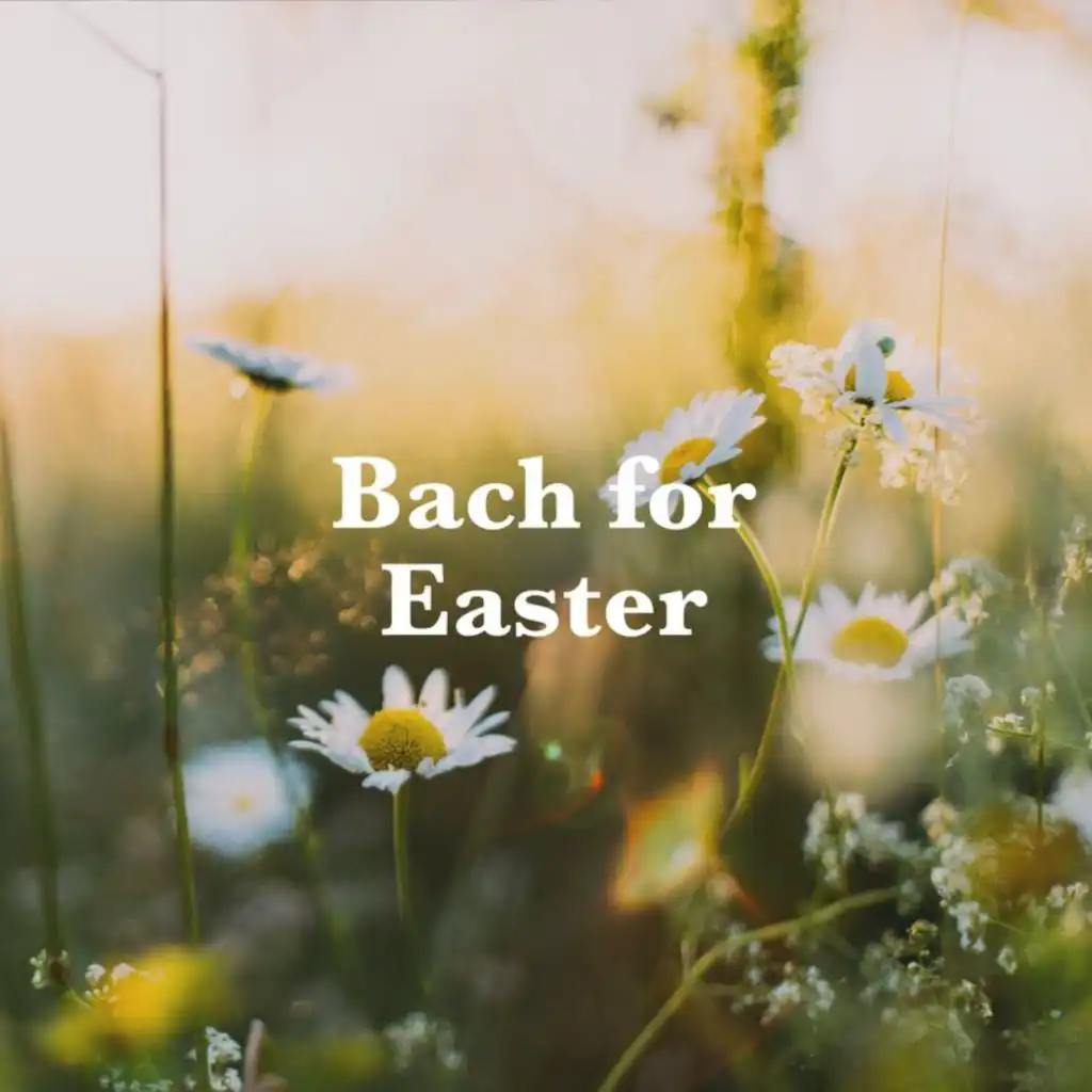 Bach for Easter