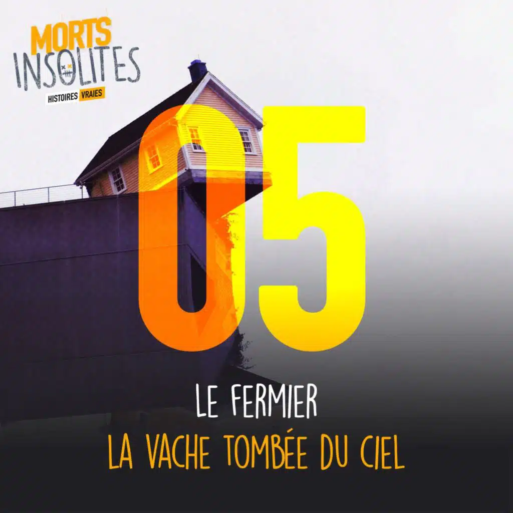 Le fermier et la vache tombée du ciel