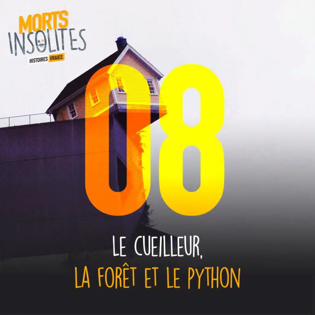 Le cueilleur, la forêt et le python