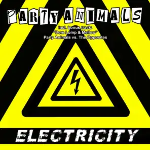 Electricity (Flamman & Abraxas Mix)