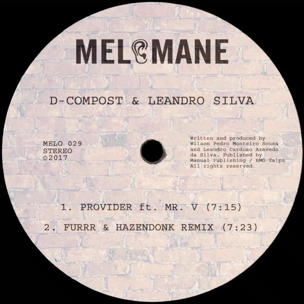 Provider (feat. Mr. V)