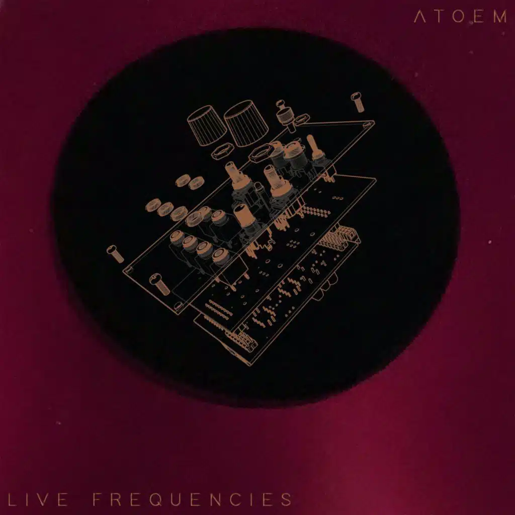 Precious Land (Live)