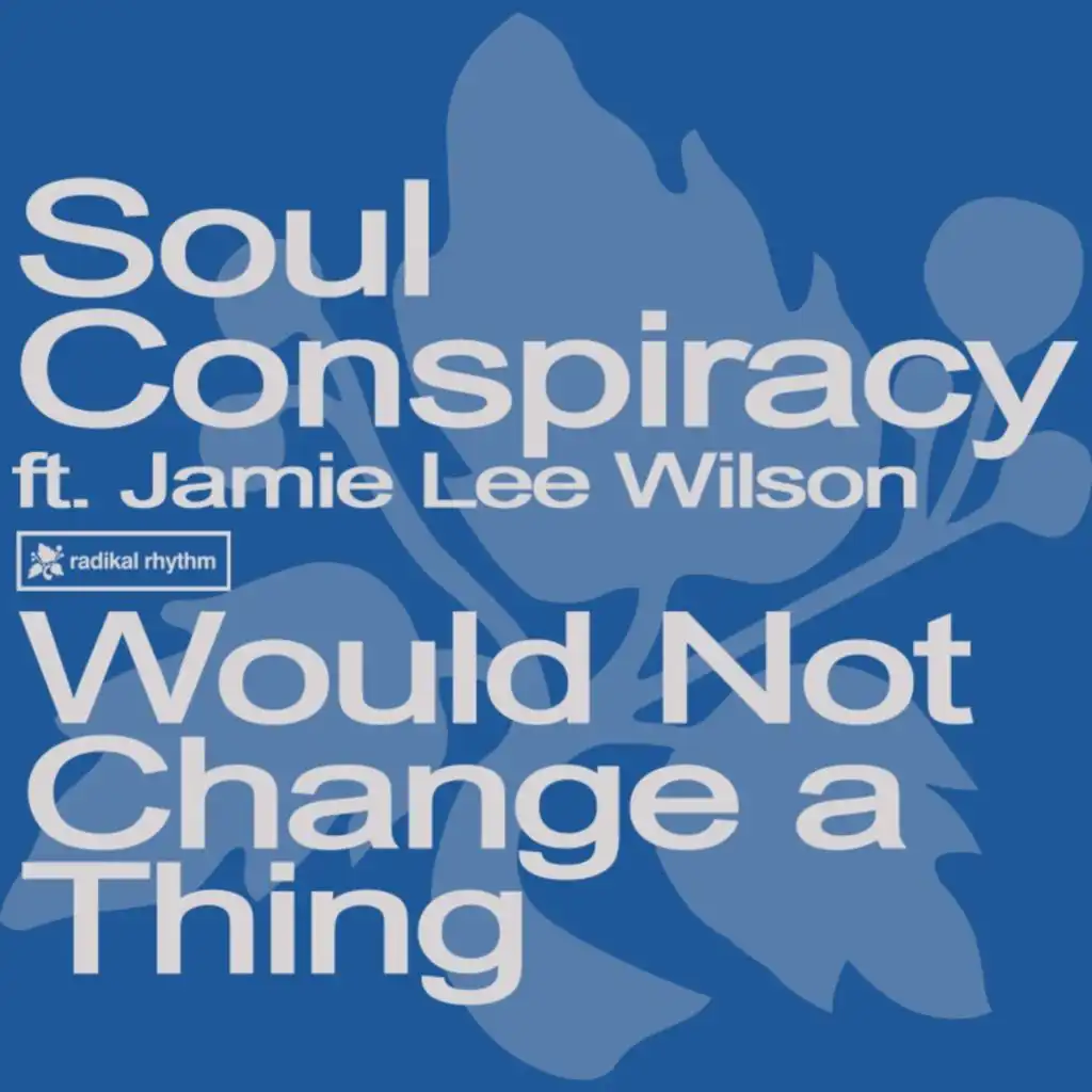 Would Not Change a Thing (Dizkodude Short Radio Edit) [feat. Jamie Lee Wilson]