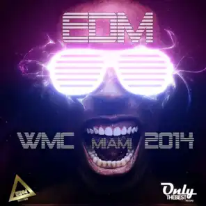 EDM: WMC Miami 2014