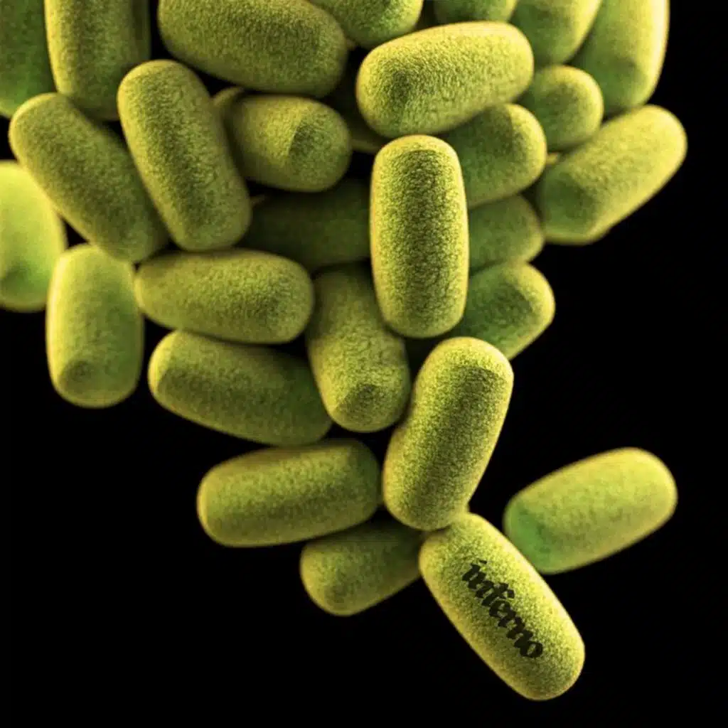 Inferno (feat. WRLDS)