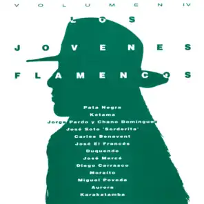 Los Jóvenes Flamencos, Vol. 4