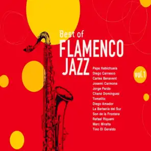 Best of Flamenco Jazz, Vol. 1