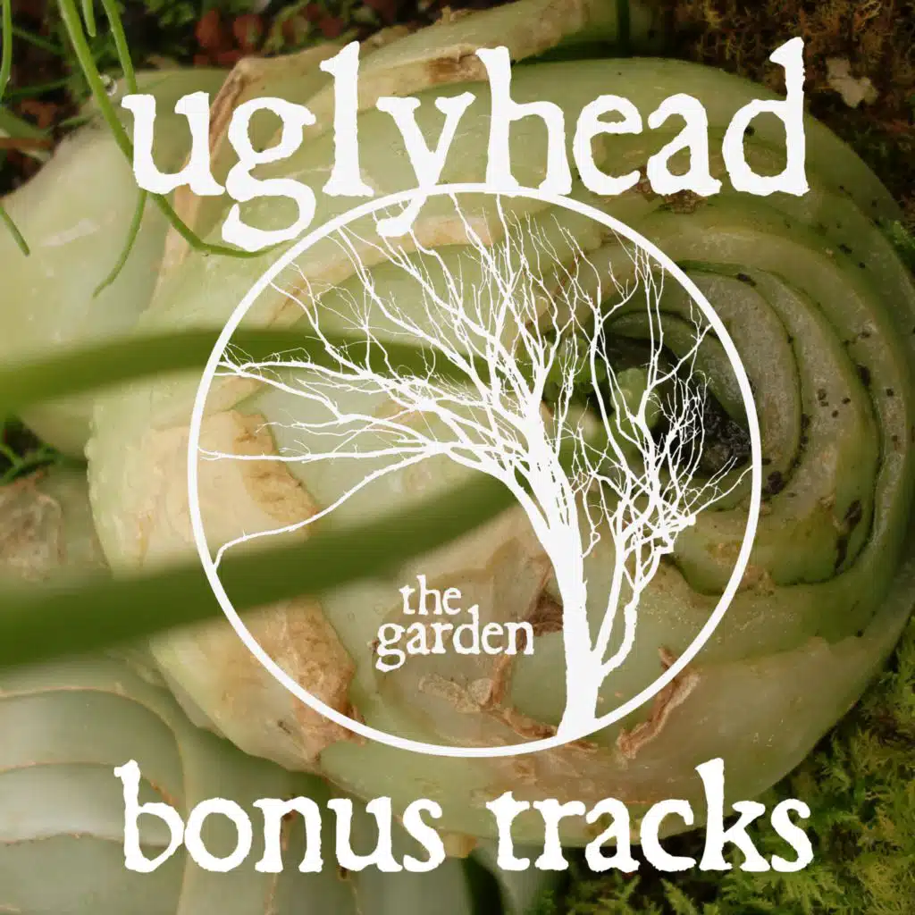 Uglyhead