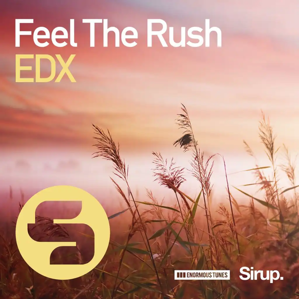 Feel the Rush (Original Club Mix)