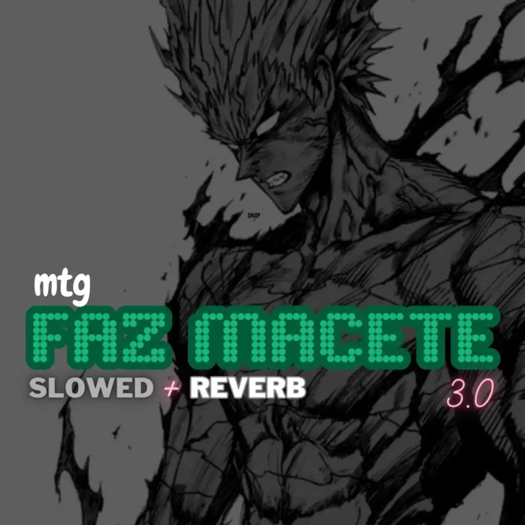 Mtg Faz Macete 3.0 (Slowed + Reverb) [feat. MC Neguin MT]