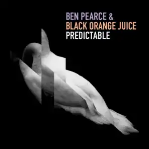Predictable (Ben Pearce Re-Work)