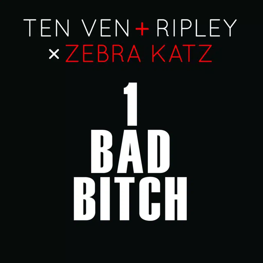 1 Bad Bitch (feat. Zebra Katz)